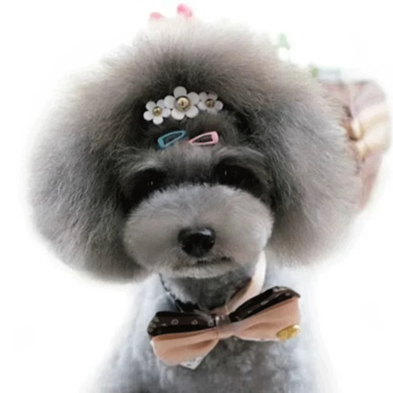 5pc/set Korean Mini 2cm Colorf - Vintage Fashion Dolls 리뷰 및 가격